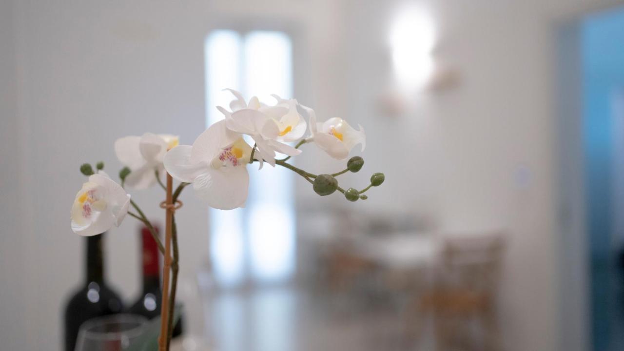 Dimora Fantasia Charme B&B 바리 외부 사진